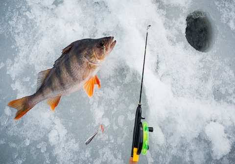 0017 20250405 ice fishing spring 2025 xh2 dsf9385 full res copy